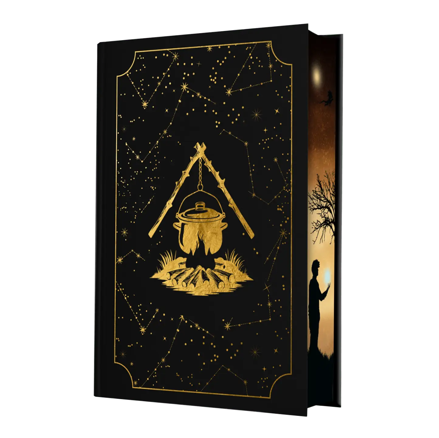 A black book cover with gold illustrations of a cooking pot over a fire and star constellations, featuring a silhouetted figure and tree on the spine.