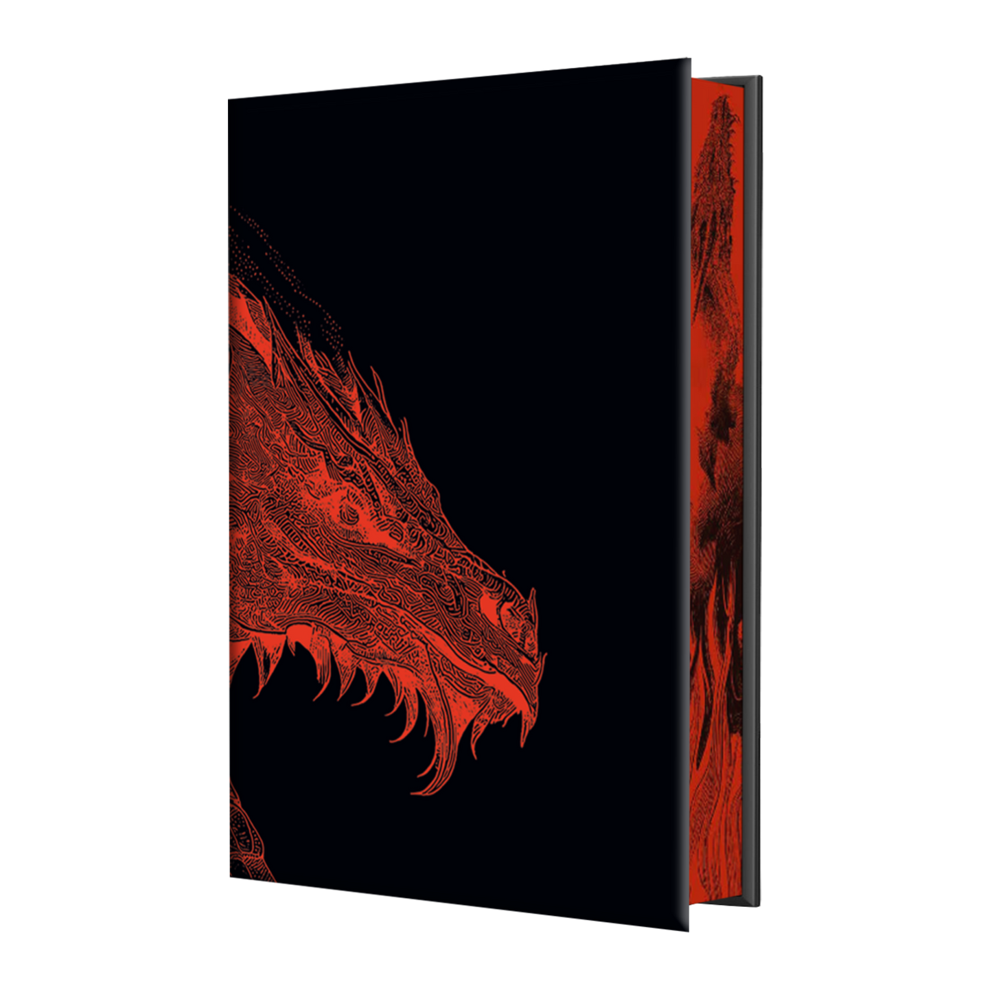 Dragon Rider