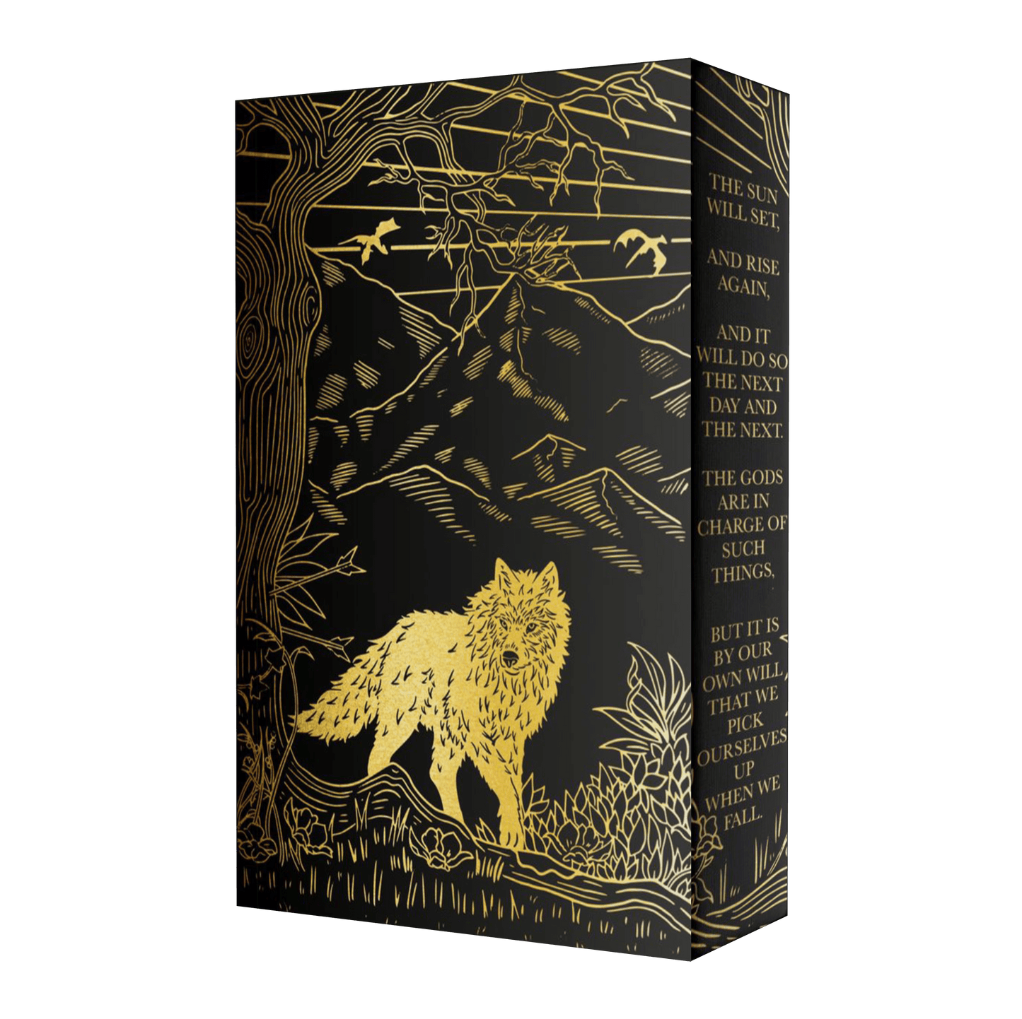 Of Blood And Fire Slipcase
