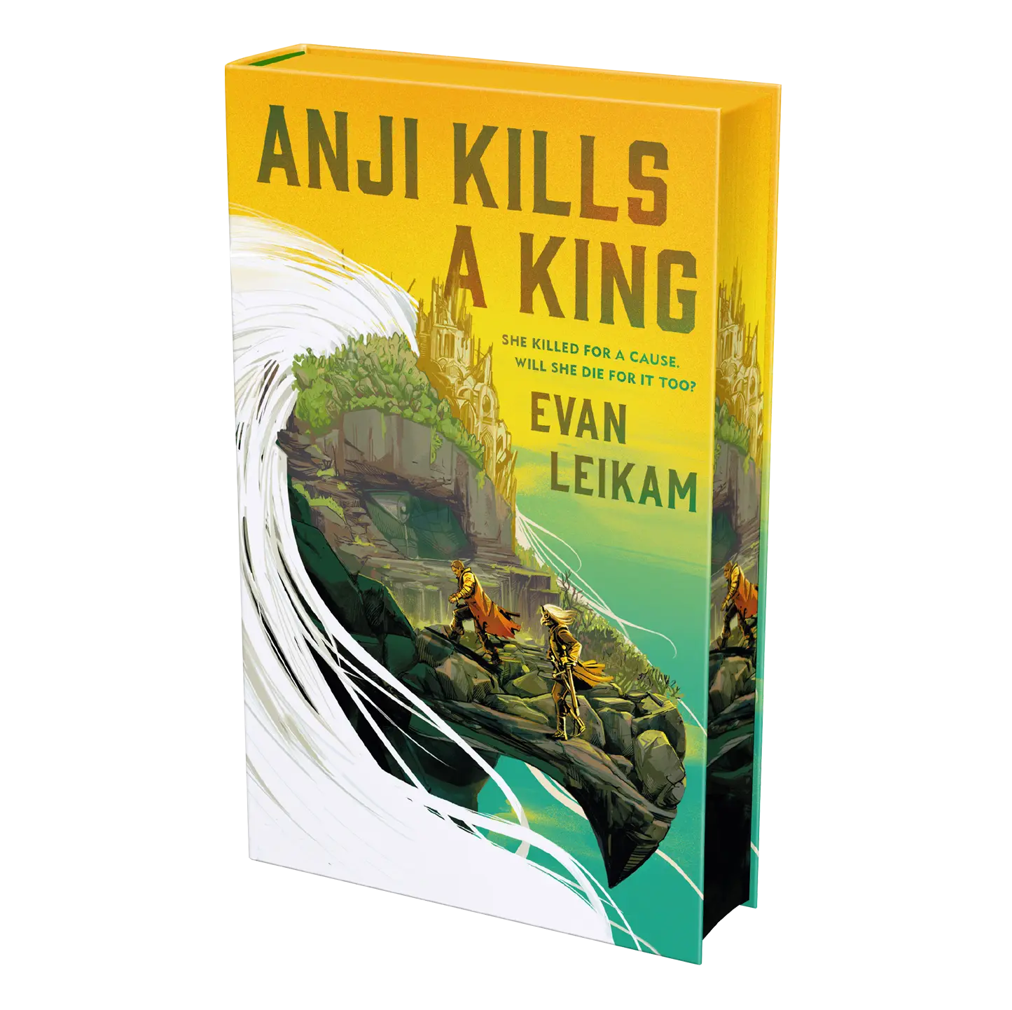 "Anji Kills a King by Evan Leikam is a captivating book featuring a dramatic cover with two characters on a rocky ledge under a vibrant sky."