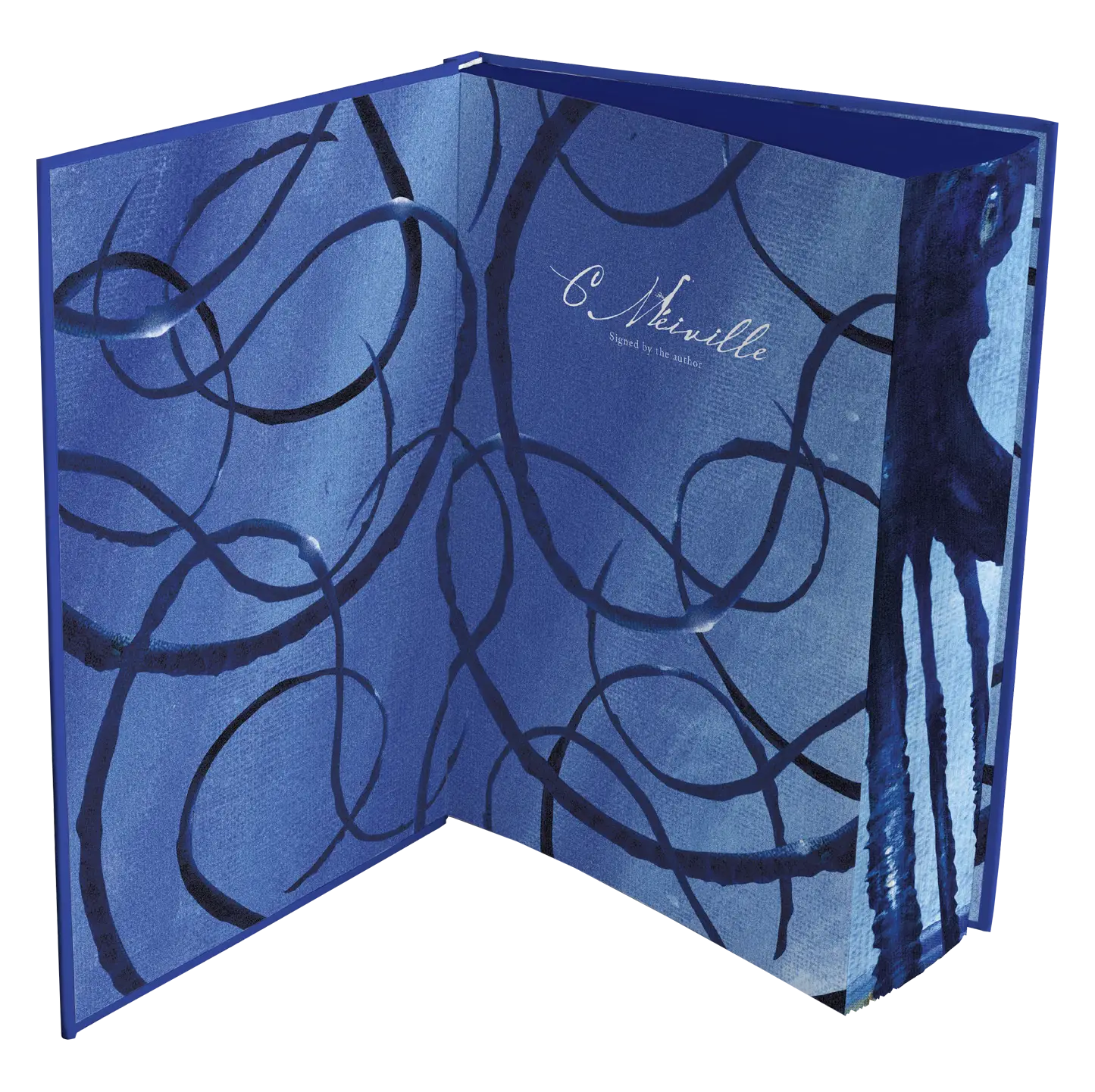 An open book with intricate blue abstract designs and elegant script on the inner cover, ideal for attracting art enthusiasts and book collectors.