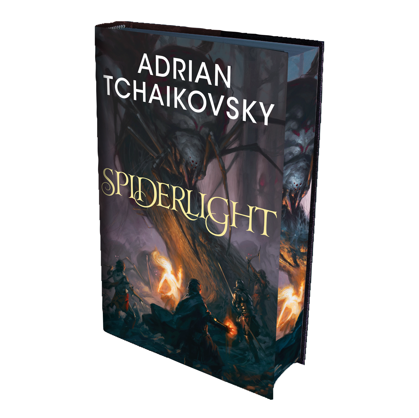 Spiderlight - Slightly Damaged, No Dust Jacket