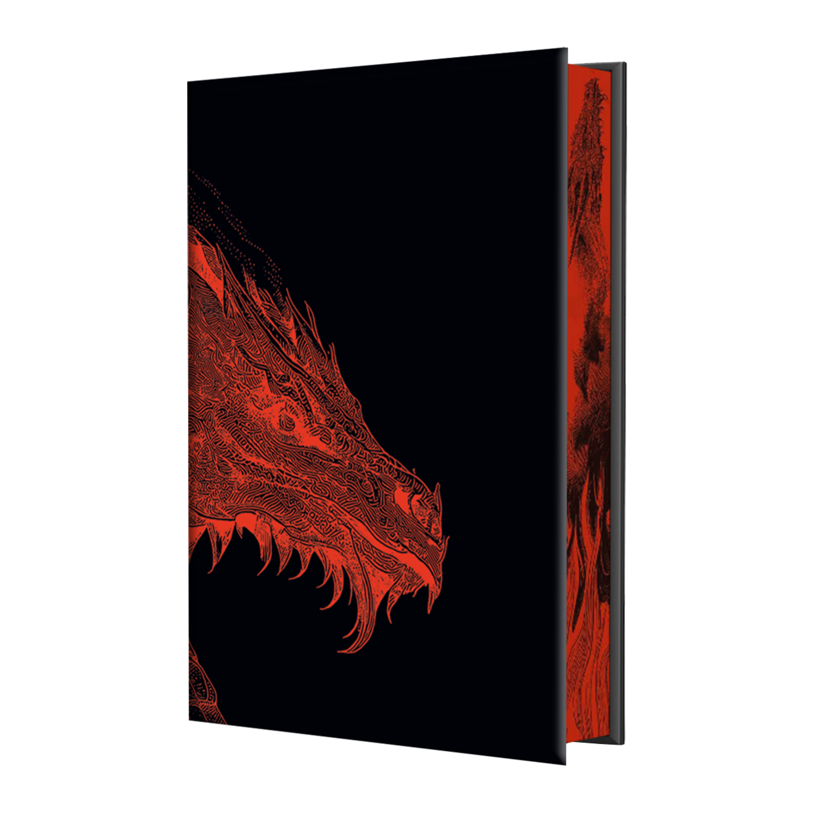 Dragon Rider – The Broken Binding SE