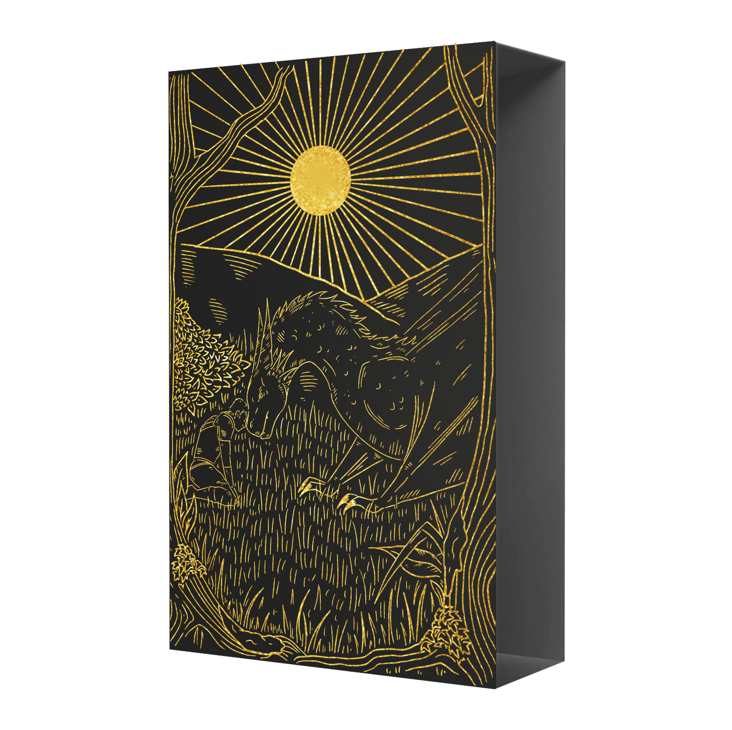 Of Darkness and Light with Slipcase - TBB Press Edition