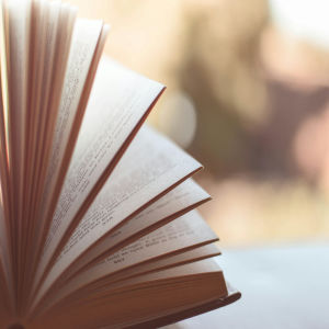 Test Book (Free)