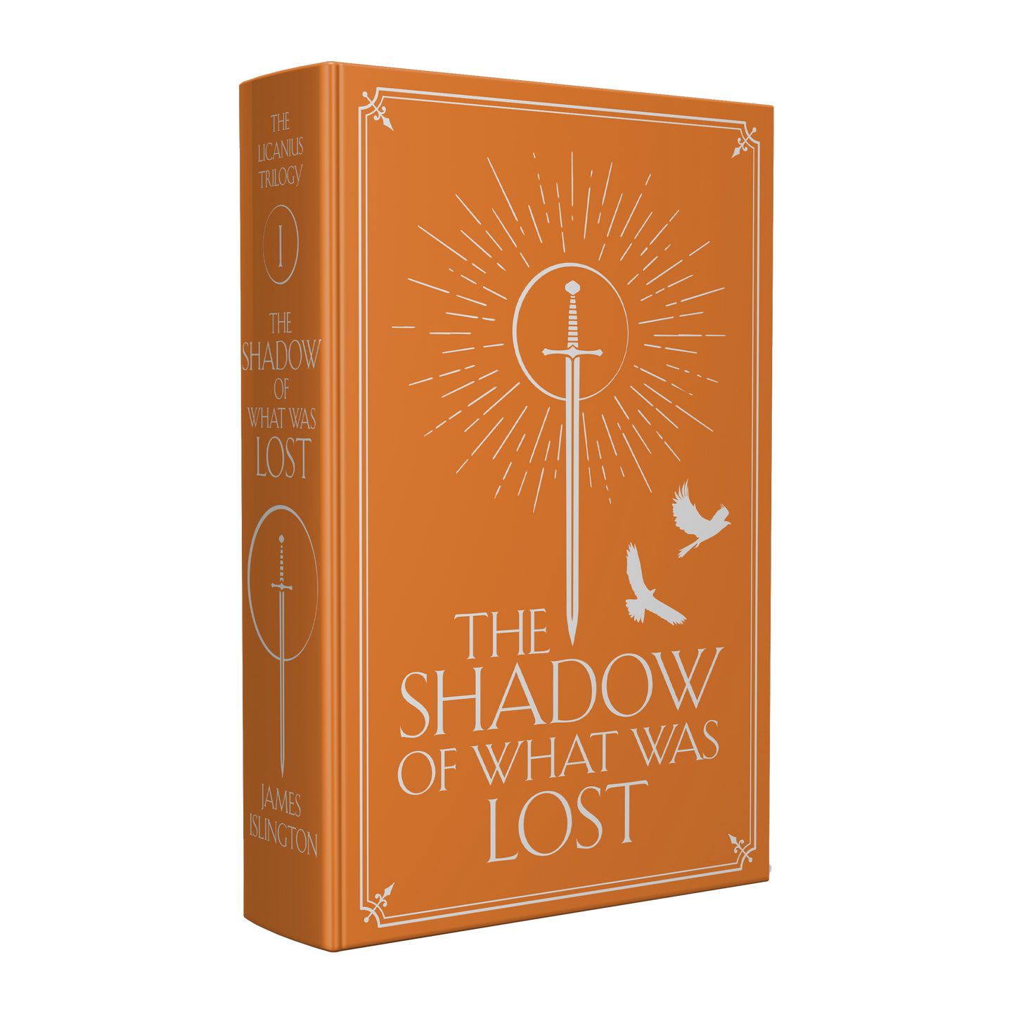 PRIVATE SALE The Shadow Of What Was Lost - Numbered